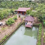 Nhà vườn Buôn Ma Thuột gần chợ, 1012m² đất, 3,65 tỷ - Ảnh thu nhỏ 3