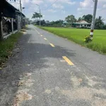 Bán đất mặt tiền 206m² Cần Đước Long An 1 tỷ 5 - Ảnh thu nhỏ 2