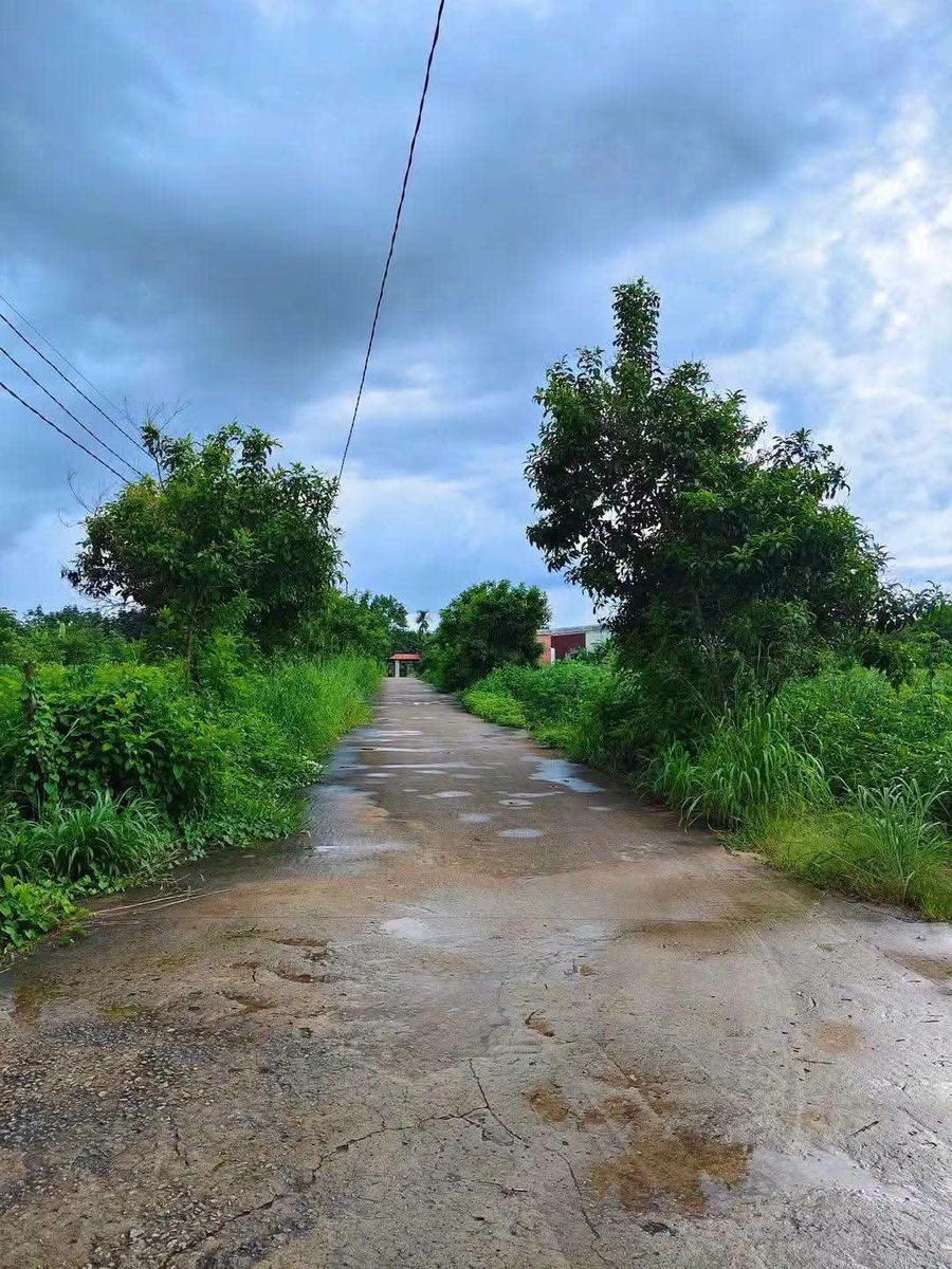 Bán đất Nhà Bè, Ấp 3, 26.100 m², 1,1 tỷ - Ảnh thu nhỏ 3