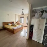 Bán biệt thự ven sông 198m2 giá 22 tỷ tại Hiệp Bình Chánh, Thủ Đức - Ảnh thu nhỏ 3