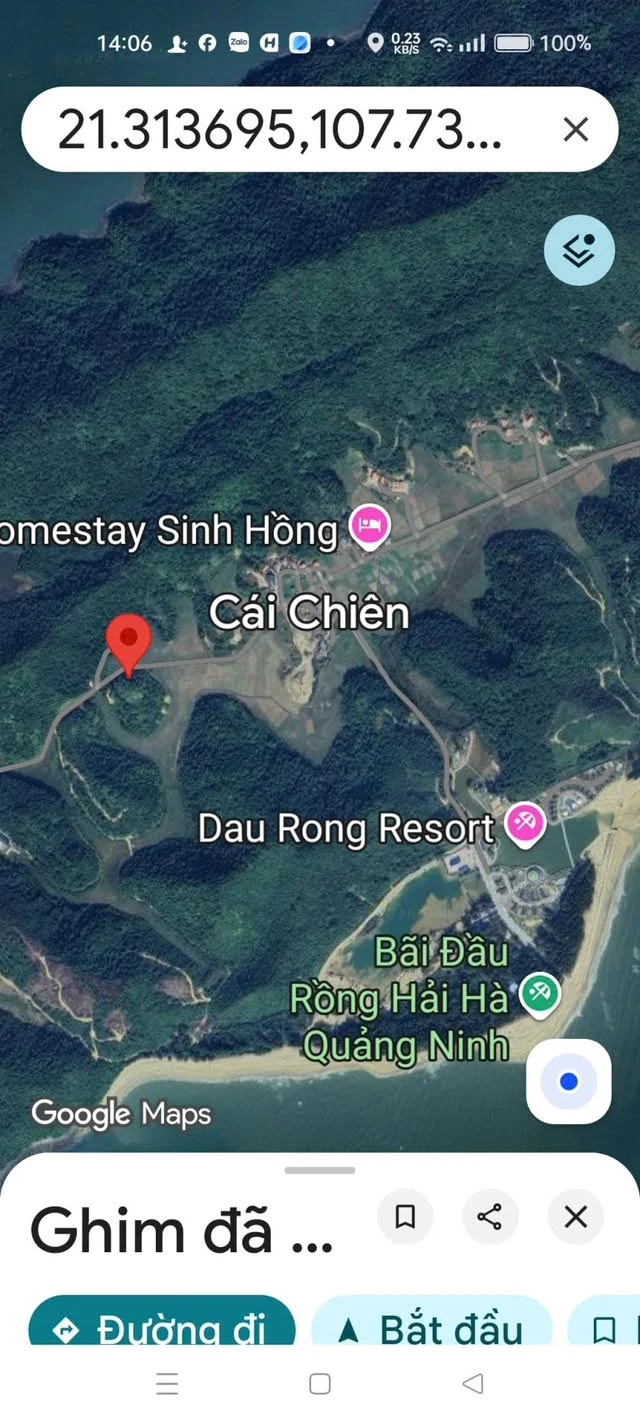 Bán đất rừng sản xuất 1 ha Đảo Cái Chiên Quảng Ninh - Ảnh 1