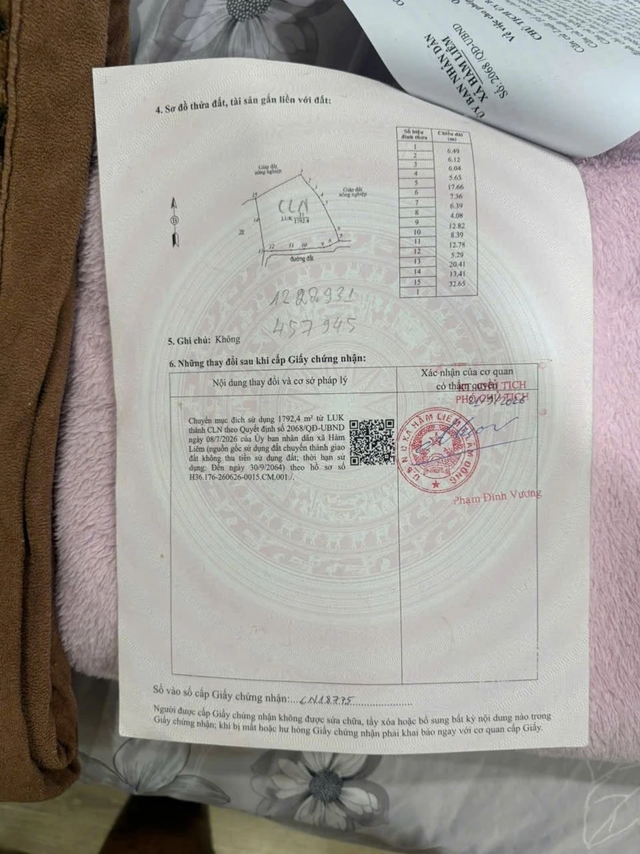 Bán 7.000m² đất cây trồng Hàm Chính Bình Thuận 400 triệu - Ảnh thu nhỏ 2