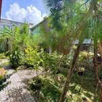 Bán nhà vườn 252m2 Đồng Xoài 2 tỷ 300 triệu - Ảnh thu nhỏ 2