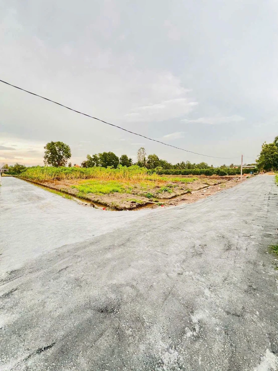 Bán đất thổ vườn 10x80m, 2 lô liền kề, xã Thạnh Hòa, Bến Lức, Long An - Ảnh thu nhỏ 3