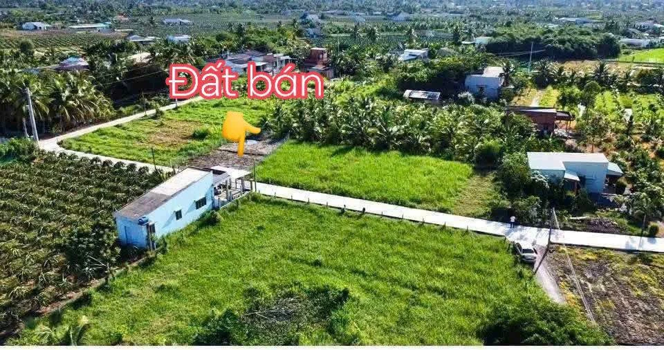 Bán đất thổ và lúa 300m² tại Châu Thành Long An 650 triệu - Ảnh thu nhỏ 4