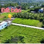 Bán đất thổ và lúa 300m² tại Châu Thành Long An 650 triệu - Ảnh thu nhỏ 4