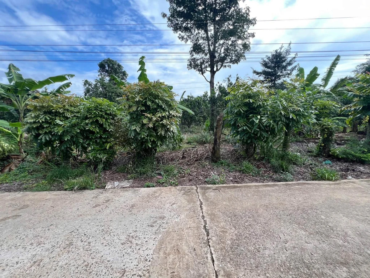 Bán đất vườn Phường Tân Phú, TP Đồng Nai, 1 tỷ 290 triệu - Ảnh thu nhỏ 4