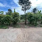 Bán đất vườn Phường Tân Phú, TP Đồng Nai, 1 tỷ 290 triệu - Ảnh thu nhỏ 4