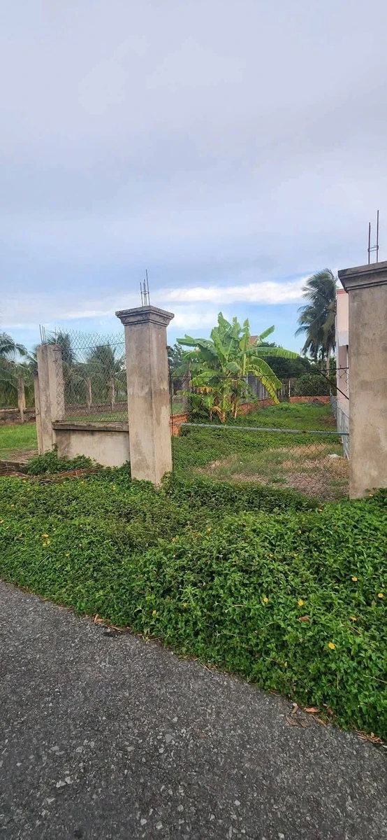 Bán đất mặt tiền Trần Văn Cầu An Hội 151m² - Ảnh thu nhỏ 4