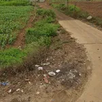Bán đất 500m² Bình Chánh 520 triệu, sổ riêng - Ảnh thu nhỏ 4