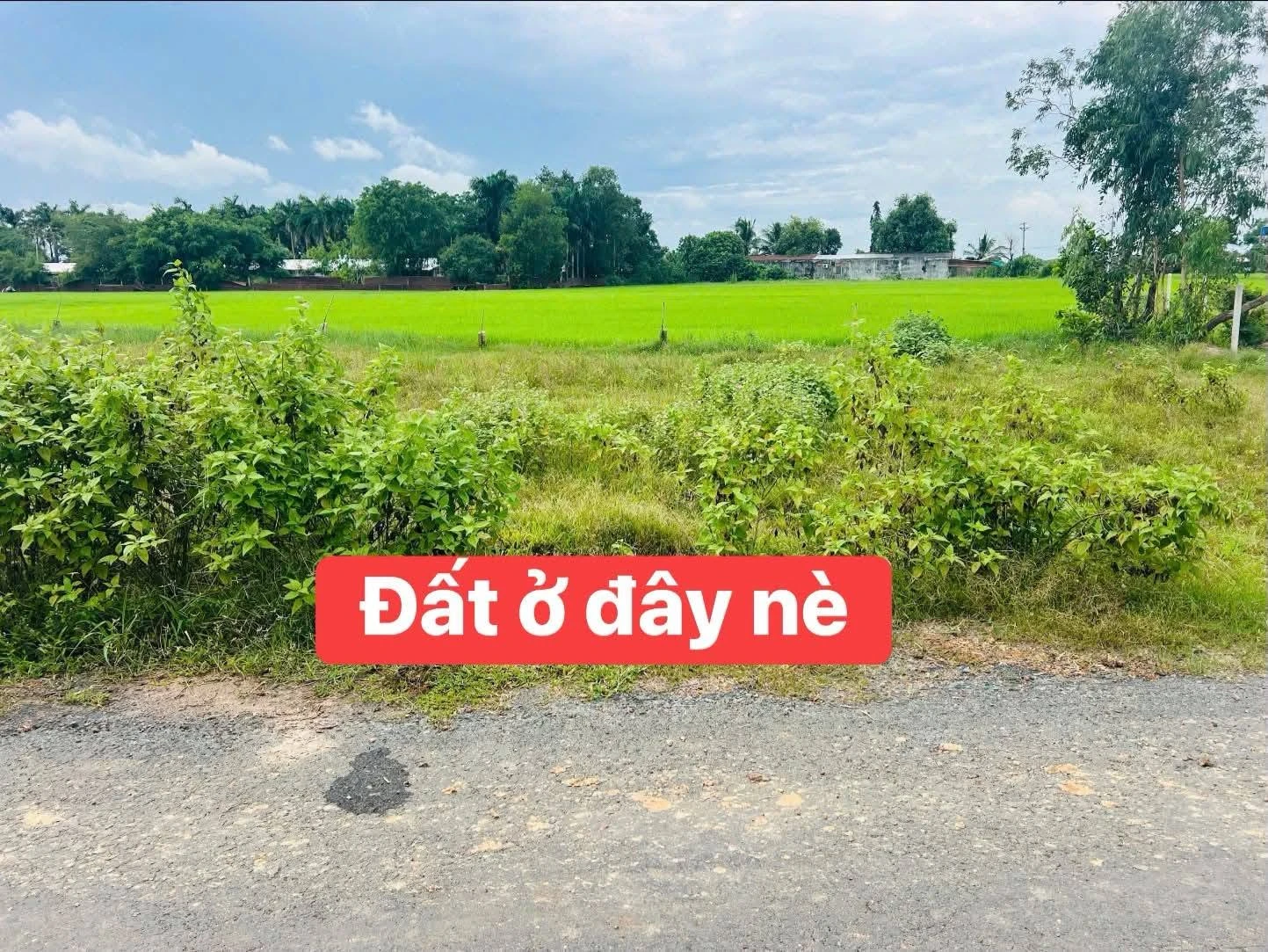 Bán đất nền 100m² mặt tiền Long Chữ, Tây Ninh - Ảnh 1