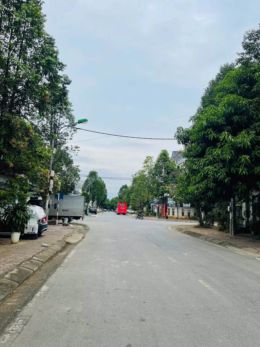 Bán lô đất Trần Thị Lan 100m2, 2 tỷ 650, Quận 12 - Ảnh thu nhỏ 3