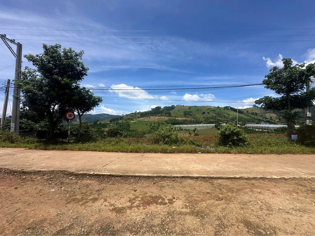 Bán đất view đồi thông Đà Lạt, sẵn sổ, 839m² và 1098m² - Ảnh thu nhỏ 4