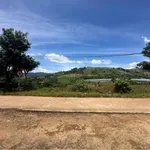 Bán đất view đồi thông Đà Lạt, sẵn sổ, 839m² và 1098m² - Ảnh thu nhỏ 4
