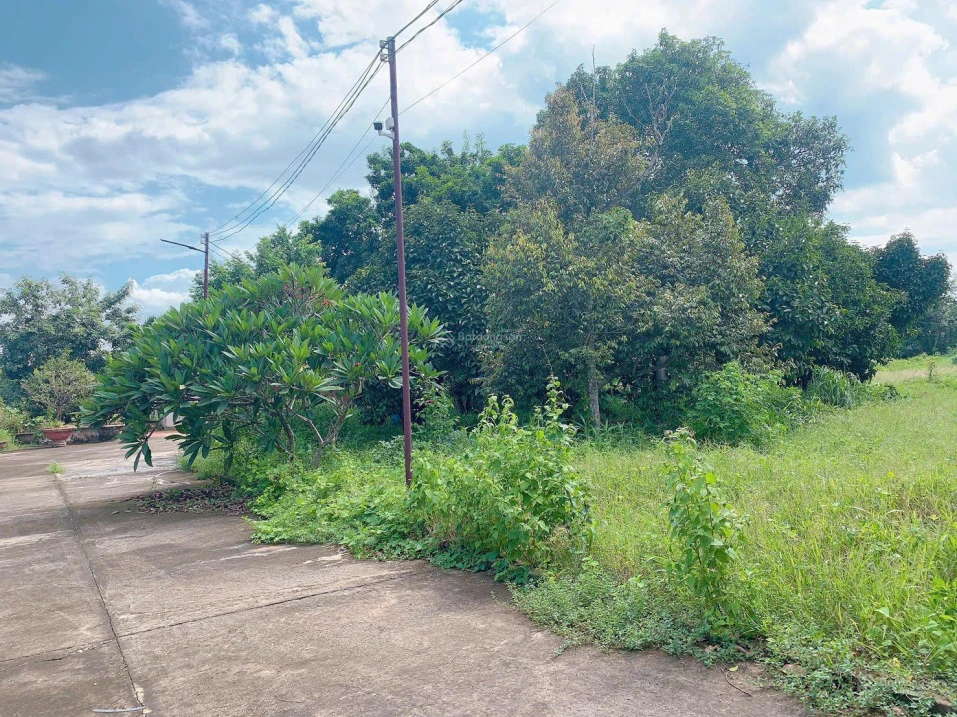 Bán khoảng 9 sào 7 (9745m2) đất phường Tân Thành, Tp. HCM). Giá 13 tỷ - Ảnh thu nhỏ 5