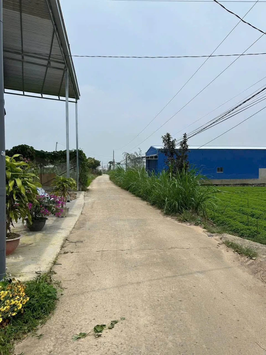 Bán đất Phú Trung – Phú Hội, 130m², giá 950 triệu - Ảnh 1