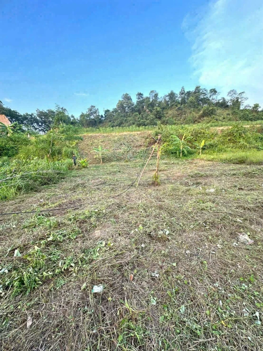 Bán đất 100m² Bảo Lương Bình Chánh, 1 tỷ - Ảnh thu nhỏ 4