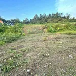 Bán đất 100m² Bảo Lương Bình Chánh, 1 tỷ - Ảnh thu nhỏ 4