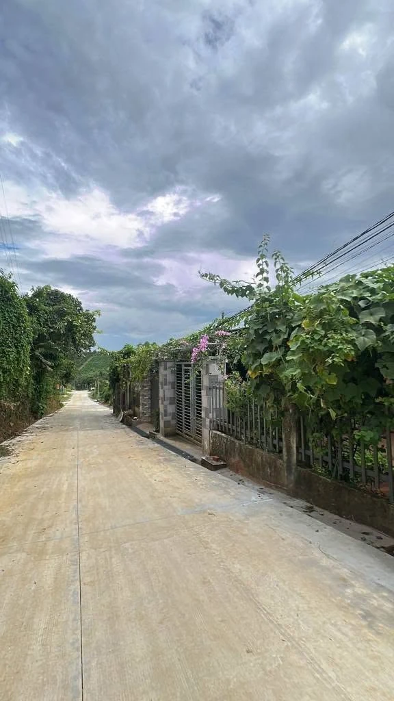 Bán đất thổ cư 62m² Đắk Nông, 590 triệu - Ảnh thu nhỏ 2