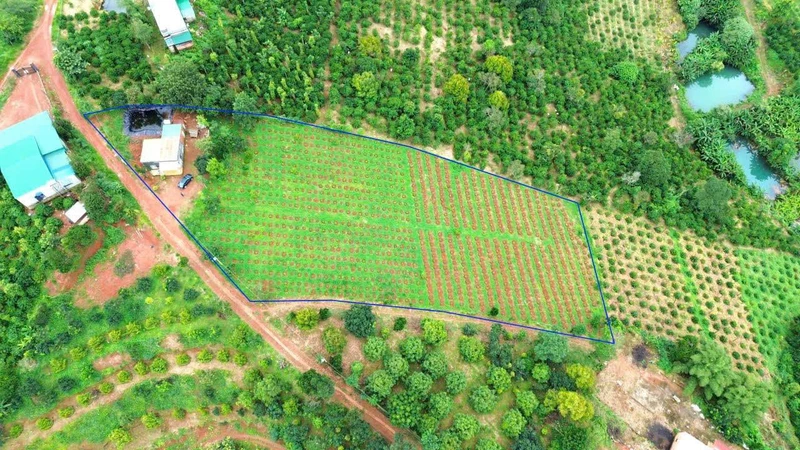 Bán đất 5000m2 có nhà 2PN tại Trường Xuân 1.5 tỷ