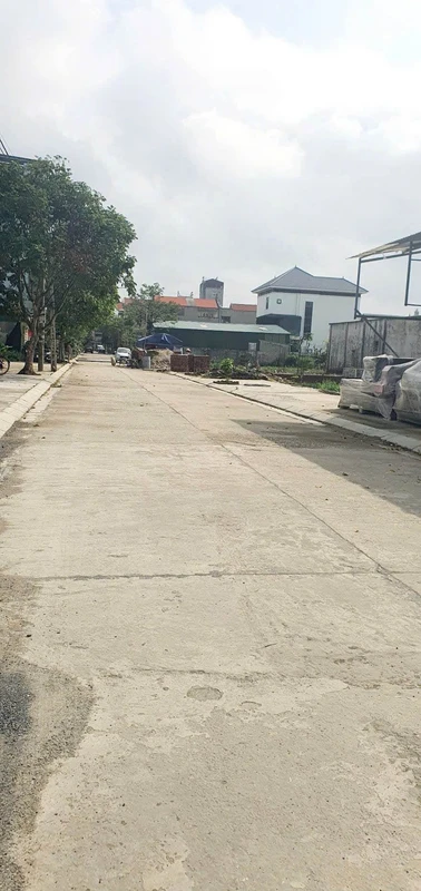 Bán lô đất 312m2 ngõ 167 Lê Thái Tổ Hoa Lư Ninh Bình