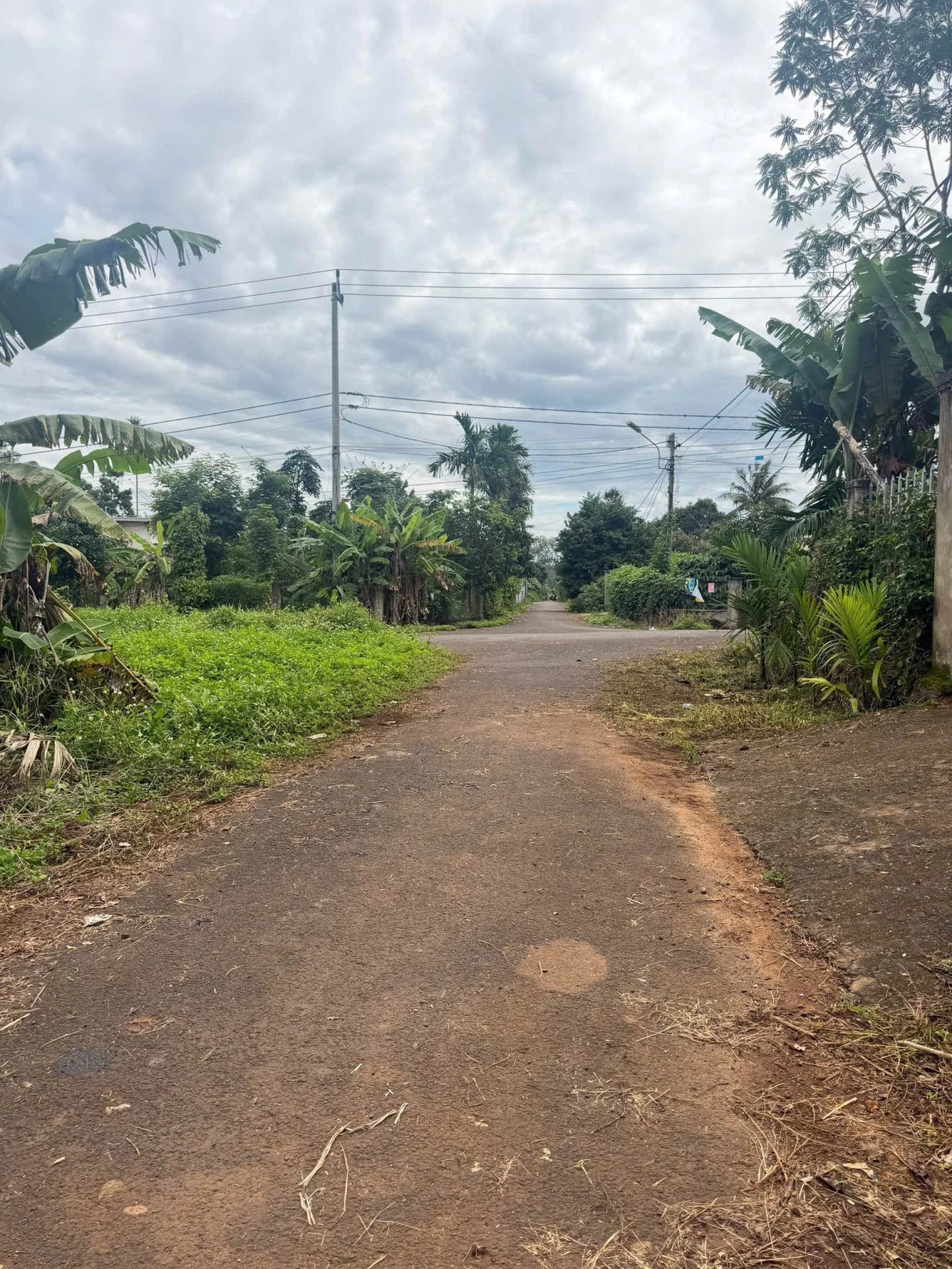Bán lô đất 5×40m (200m²) 1 tỷ 240 triệu, Tam Giác Vàng - Ảnh 1
