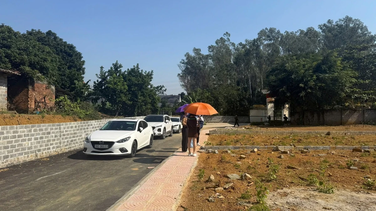 Bán đất Hòa Sơn 232m² giá 3 tỷ - Ảnh 1