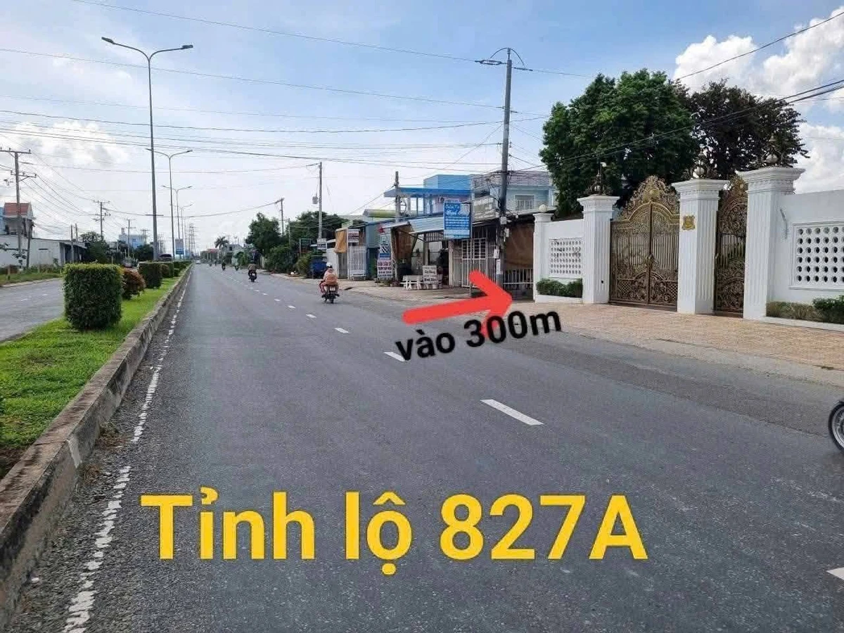 Bán đất nông nghiệp 2000m² tại Xã Vĩnh Công, Châu Thành, Long An - Ảnh 1