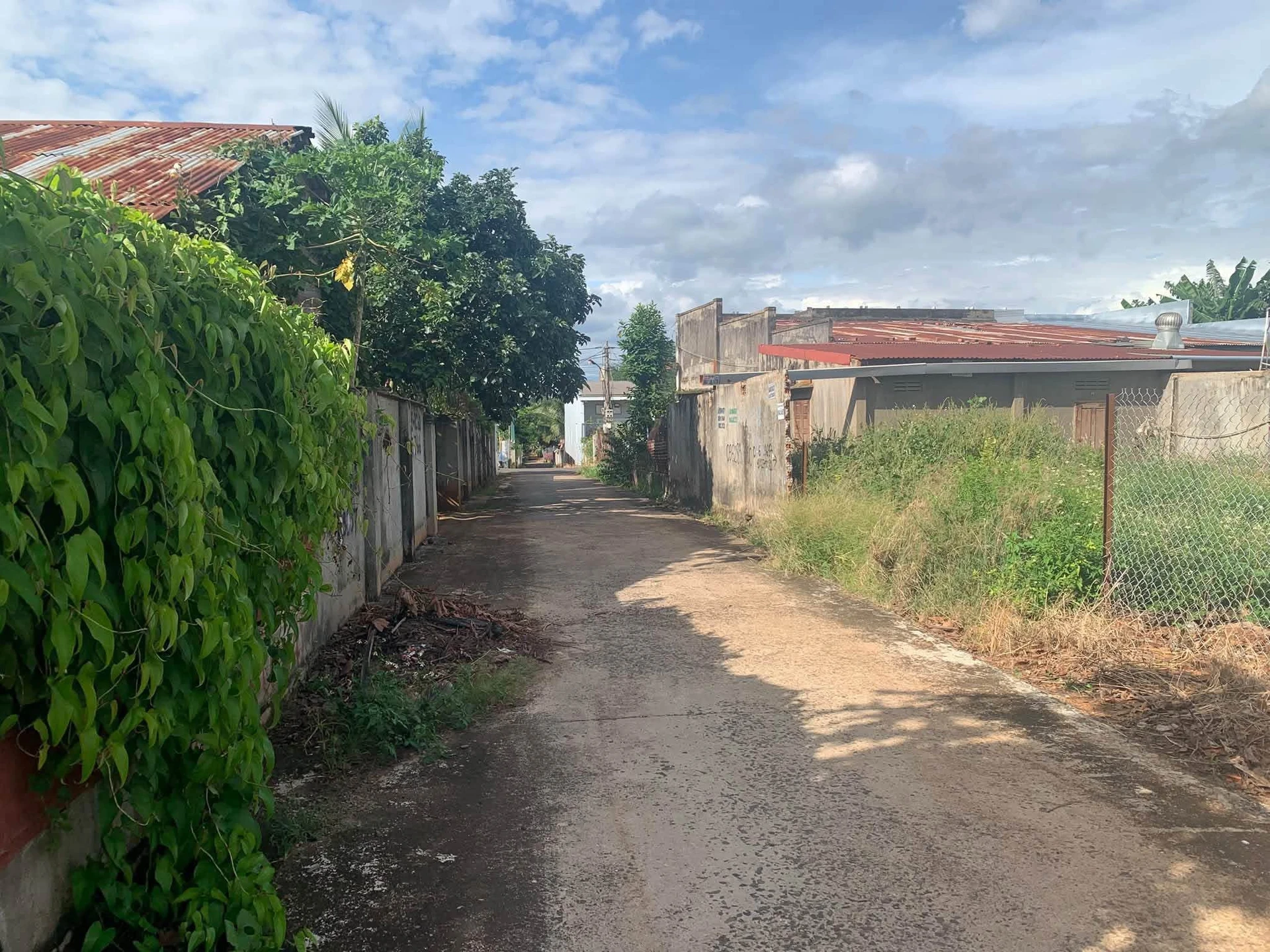 Bán 2 lô đất thôn 3 Cưebur, Bình Chánh, 121,5 m² - Ảnh 1