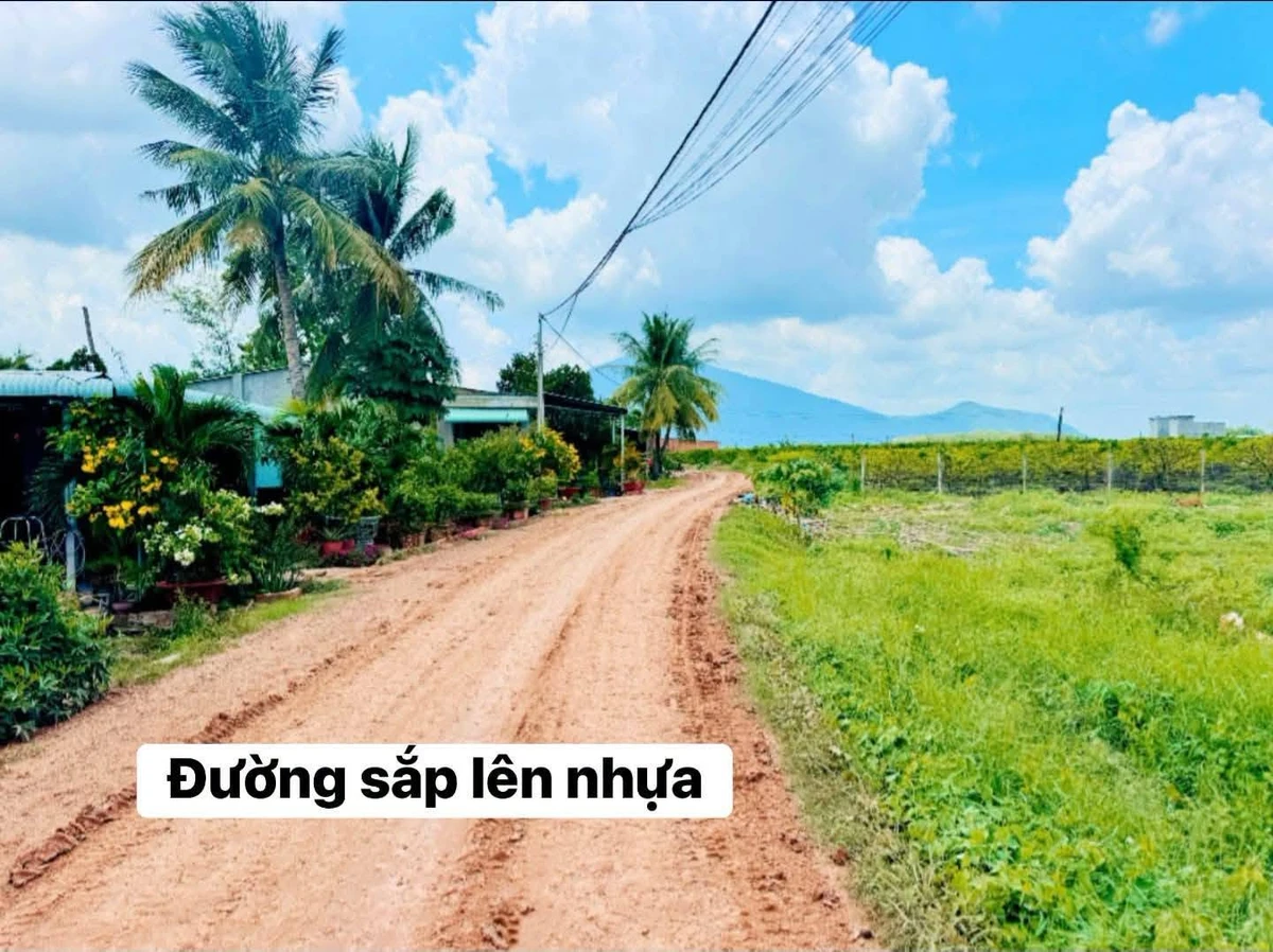 Bán đất thổ cư 720m² Phước Bình Bình Chánh giá rẽ - Ảnh 1