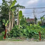 Bán đất Bồn Phổ 75.2m² giá 750 triệu - Ảnh thu nhỏ 1