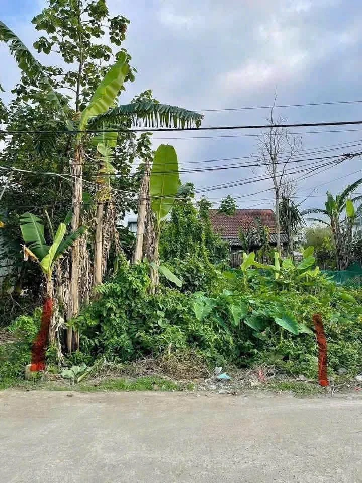 Bán đất Bồn Phổ 75.2m² giá 750 triệu - Ảnh 1