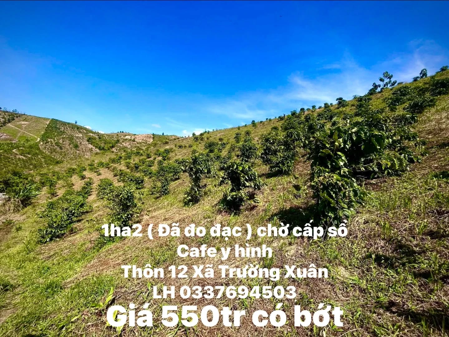Bán đất 1ha2 Xã Trường Xuân 550 triệu - Ảnh 1