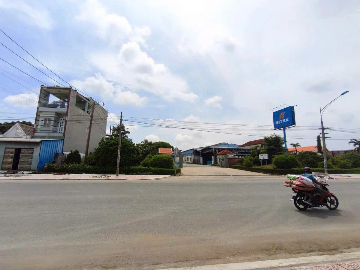 Cho thuê xưởng 6600m² mặt tiền Bến Lức, Tây Ninh - Ảnh 1