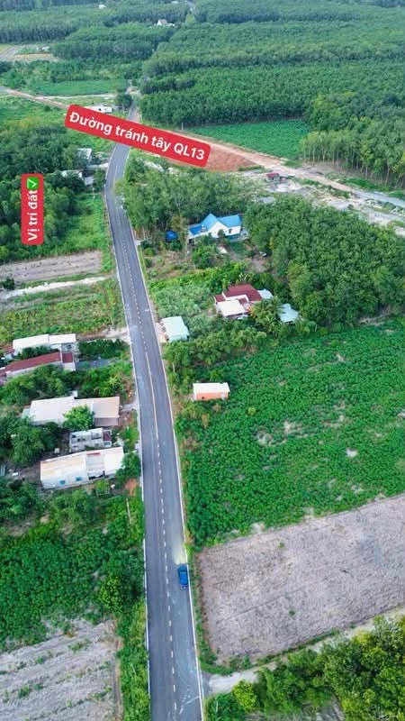 Bán đất nhánh đường Minh Hưng Bình Chánh 175m2 - Ảnh thu nhỏ 5