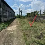 Bán đất thổ cư 162m2 Phan Thiết 360 triệu - Ảnh thu nhỏ 3