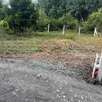 Bán đất 5x13.5m Nguyễn Văn Linh Tây Ninh 250 triệu - Ảnh thu nhỏ 1