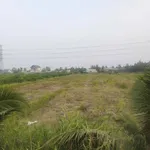 Bán lô đất vườn 3000m² mặt kênh, Bến Lức, Long An - Ảnh thu nhỏ 4