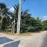 Bán đất nền 160m² giá 799 triệu gần BV Việt Hàn - Ảnh thu nhỏ 4