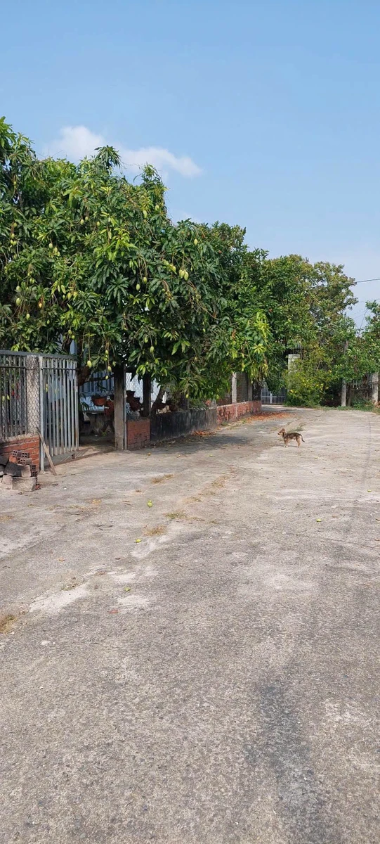 Bán đất Châu Pha Phú Mỹ 1.247m², giá 3,4 tỷ - Ảnh thu nhỏ 2