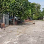 Bán đất Châu Pha Phú Mỹ 1.247m², giá 3,4 tỷ - Ảnh thu nhỏ 2