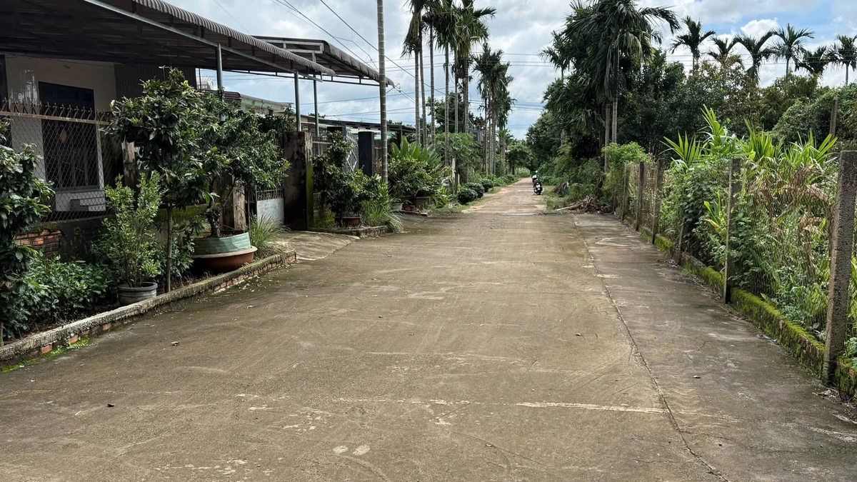 Bán nhà mái Thái 200m² Krông Păk, Đắk Lắk - 1,55 tỷ - Ảnh thu nhỏ 3