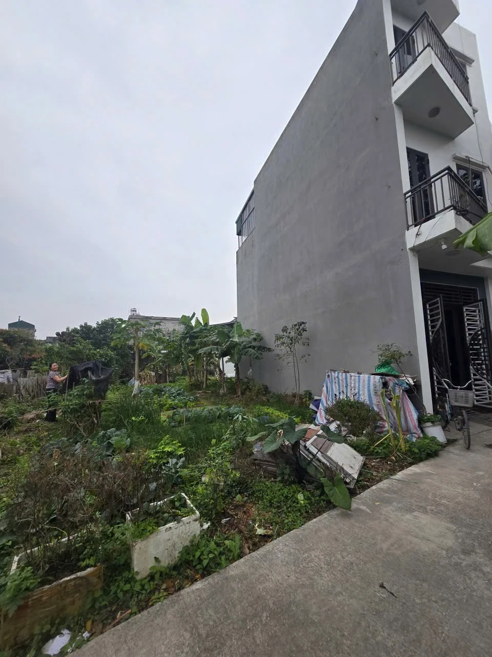 Bán lô đất Việt Hòa 50.8m2 gần chợ và trường học - Ảnh 1