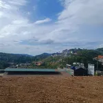 Bán đất mặt tiền Đặng Thái Thân Đà Lạt 300m2 - Ảnh thu nhỏ 1