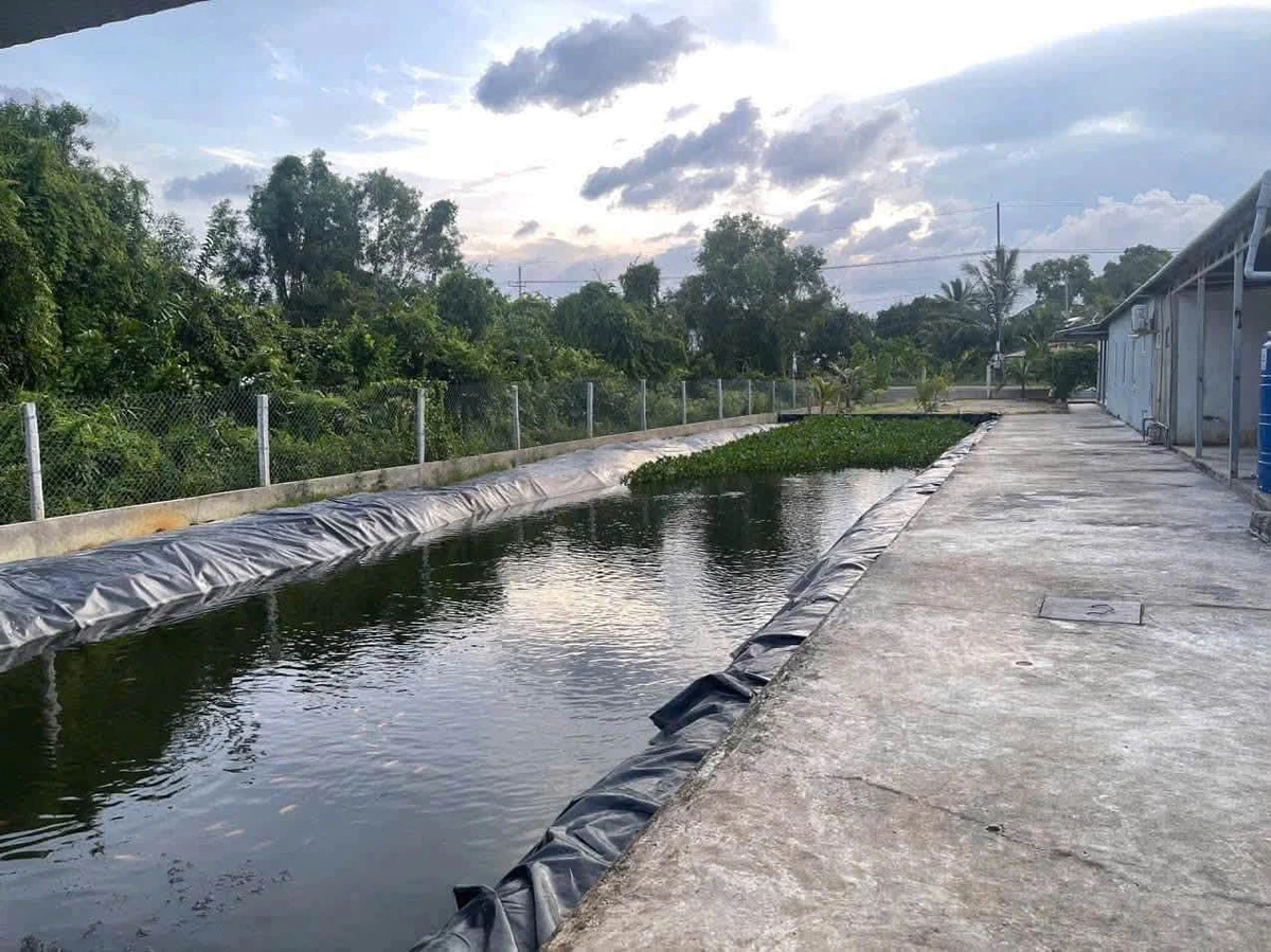Chuyển nhượng nhà vườn mặt tiền Lình Huỳnh Rạch Giá 2730m², 4 tỷ 450 - Ảnh thu nhỏ 5