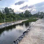 Chuyển nhượng nhà vườn mặt tiền Lình Huỳnh Rạch Giá 2730m², 4 tỷ 450 - Ảnh thu nhỏ 5