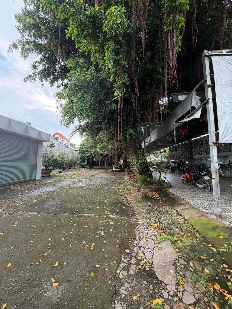 Cho thuê mặt bằng 1.400m² sát chợ Dĩ An, 70 triệu/tháng - Ảnh thu nhỏ 3