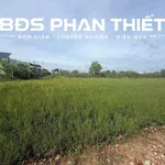 Bán đất 655,4m² Phan Thiết, giá 1 tỷ 250 triệu - Ảnh thu nhỏ 3