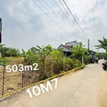 Bán đất 503m² thổ cư xã Sơn Thành Cần Giờ - Ảnh thu nhỏ 3