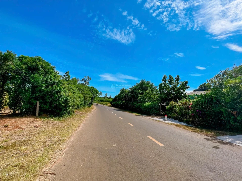 Mặt tiền Liên Thôn ngay Thị trấn Cửa Tùng, 6x26m. Full thổ, ngay đường Ven Biển, chỉ 690 triệu - Ảnh thu nhỏ 4